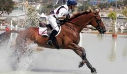 网红骑马爆料视频播放下载,播放下载量惊人！