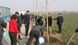 凤翔县新闻爆料,聚焦民生热点，揭示社会现象