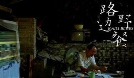 路边野餐电影在线观看,穿越时空的神秘之旅在线观影指南