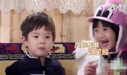 吃瓜八卦娱乐圈视频下载