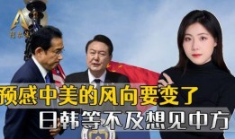 中美日韩最新爆料,科技巨头暗战与市场风云再起