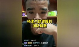 爆料老六视频大全最新,最新爆料带你领略精彩瞬间