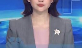 三亚主持人爆料新闻,揭秘当地热点事件背后真相