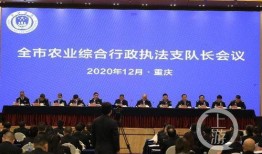 重庆记者最近爆料新闻,最新爆料事件引发社会关注