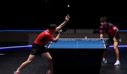 神经马龙在线观看,在线观看揭秘乒乓球大师的神经技巧与智慧