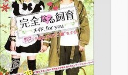 完全饲育9在线观看,沉浸式虚拟世界的深度揭秘