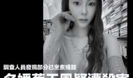 蔡天凤最新爆料新闻视频,揭秘事件背后惊人真相