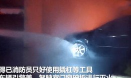 河南都市爆料周口事件视频,河南都市爆料视频揭示惊人真相