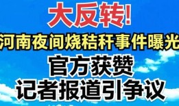 台山跑腿爆料事件视频曝光,揭秘背后惊人真相