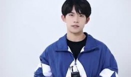 王俊凯爆料张艺凡视频,独家视频曝光惊人内幕