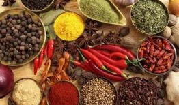 火锅店调料爆料方法视频