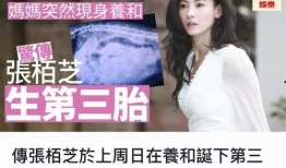 张柏芝爆料新闻事件视频,揭秘事件背后真相