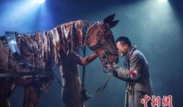 战马1电影在线观看,勇者无畏，战火中的传奇