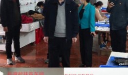 唐河近两天爆料新闻视频,视频爆料揭示惊人真相