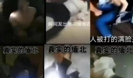 女子爆料被骗视频播放大全,揭秘网络诈骗全纪录