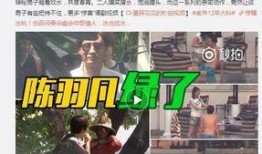 老杨微信爆料视频,一窥生活百态