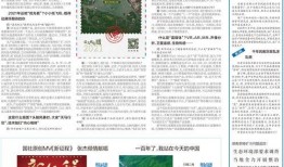 今日最新闻如何爆料微博,今日最新闻重大爆料揭秘！