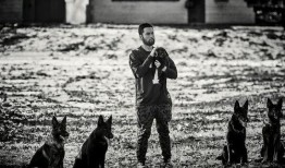 大胡子爆料最新视频