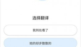 罗沙最新爆料视频下载网,揭秘幕后真相，带你走进事件核心