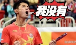 是谁爆料张继科视频播放,揭秘背后爆料者身份之谜