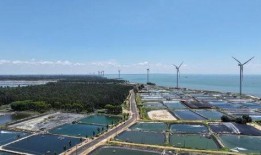 湛江徐闻最新爆料