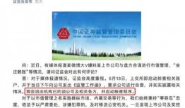 湖南攸县热点爆料案件最新,真相背后，正义何在？