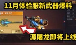 cf体验服最新爆料无尽