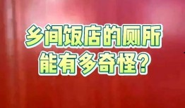 山东饭店爆料视频最新一期,揭秘幕后真相与惊人内幕