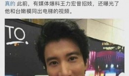 爆料视频王力宏最新消息,爆料视频揭露惊人真相！