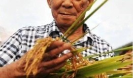 袁隆平徒弟爆料下棋视频,传承智慧，棋艺非凡